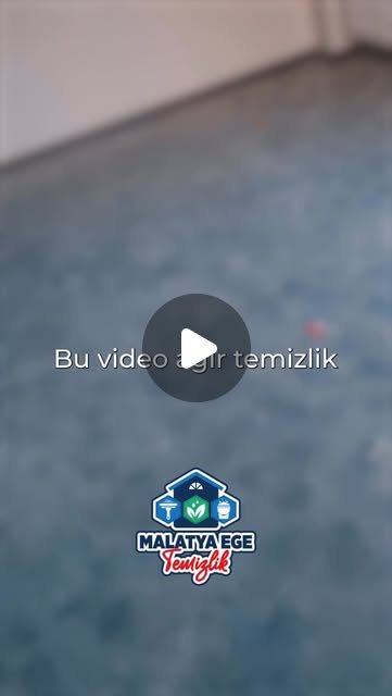Ege Temizlik resmi logosu