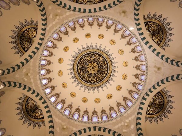 Ankara Web Tasarım İşletmenizin Dijital Başarı Hikayesini Yazalım